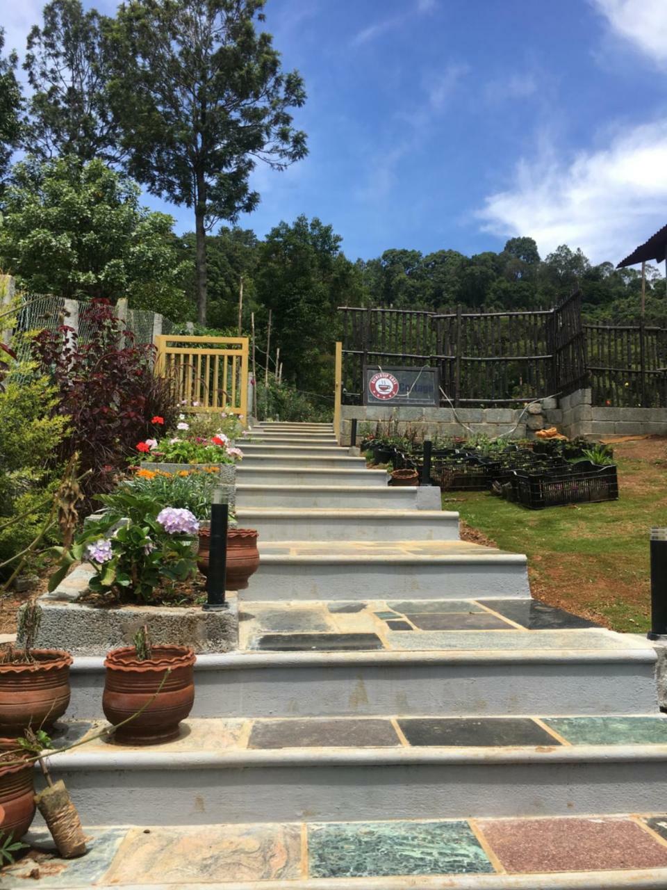 Silvertip Cafe & Homestay 科塔吉里 外观 照片
